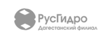Филиал ПАО «Русгидро» - «Дагестанский филиал»